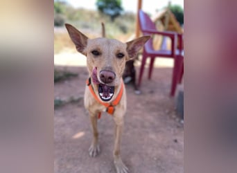 Thelma (Spanien) – eine ausgeglichene Seele sucht ihr Glück
