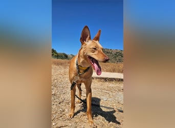 Harmony (Spanien) - der nächste Schritt zum glücklichen Leben