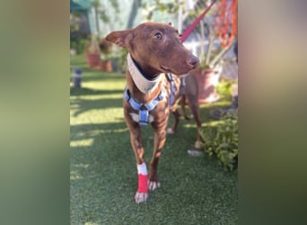 Moana (Spanien) - bedeutet Meer, weites Wasser, Brise über dem Ozean