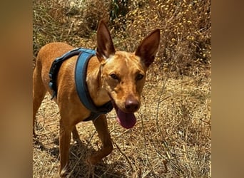 Harmony (Spanien) - der nächste Schritt zum glücklichen Leben