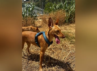 Harmony (Spanien) - der nächste Schritt zum glücklichen Leben