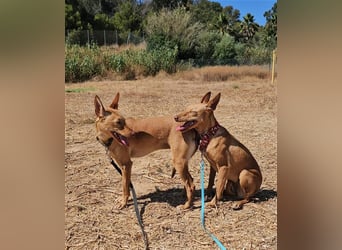 Harmony (Spanien) - der nächste Schritt zum glücklichen Leben