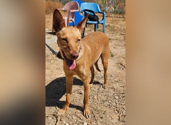 Harmony (Spanien) - der nächste Schritt zum glücklichen Leben