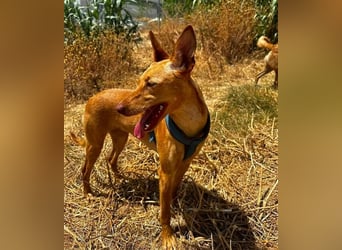 Harmony (Spanien) - der nächste Schritt zum glücklichen Leben