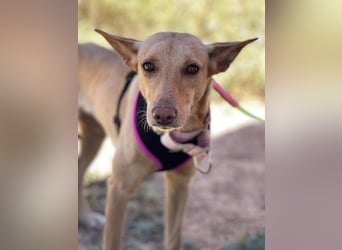 Thelma (Spanien) – eine ausgeglichene Seele sucht ihr Glück