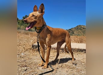 Harmony (Spanien) - der nächste Schritt zum glücklichen Leben