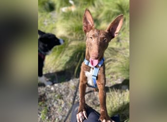 Moana (Spanien) - bedeutet Meer, weites Wasser, Brise über dem Ozean