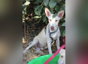 NELSON sucht Menschen mit großem Herz