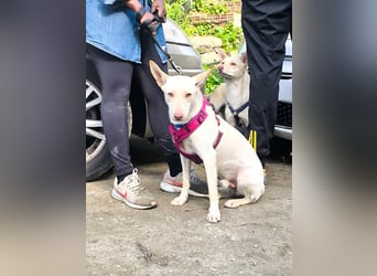 NELSON sucht Menschen mit großem Herz