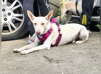 NELSON sucht Menschen mit großem Herz