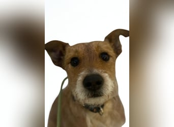 Rider ❤️ lieb, sanft + menschenbezogen