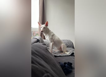 Susona - liebevoll und gemütlich