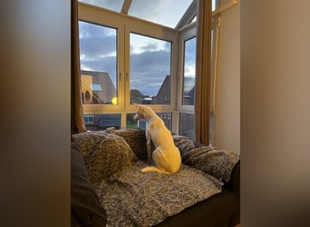 Susona - liebevoll und gemütlich