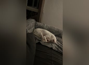 Susona - liebevoll und gemütlich