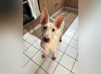 Susona - liebevoll und gemütlich