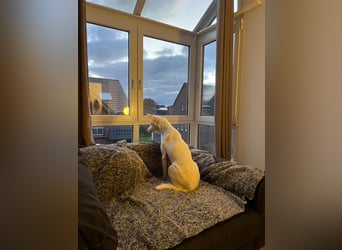 Susona - liebevoll und gemütlich