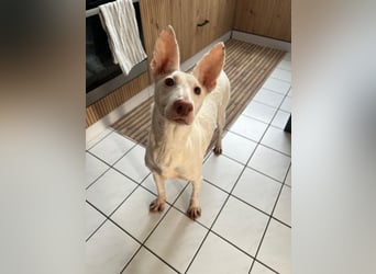 Susona - liebevoll und gemütlich