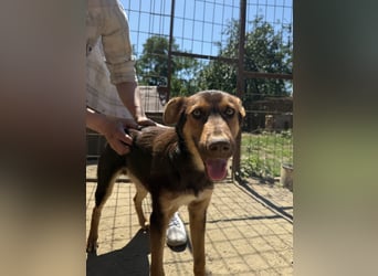 Karesz sucht seinen Couchplatz