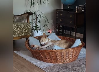 Zoe wartet in Köln auf ihre Menschen