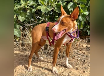 Framzy – muss Liebe lernen