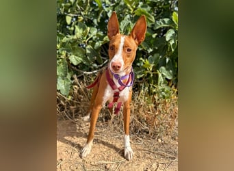 Framzy – muss Liebe lernen