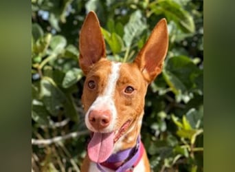 Framzy – muss Liebe lernen