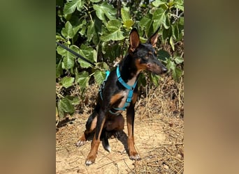 Doby