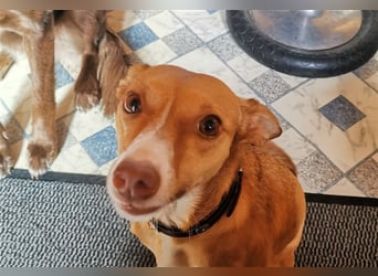 Tilly *** PS in 517xx ***