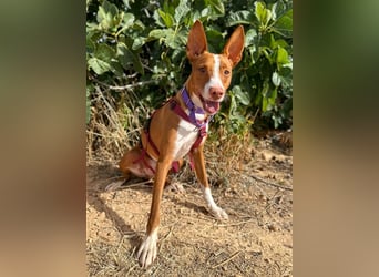 Framzy – muss Liebe lernen