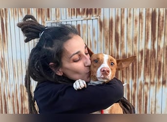 Framzy – muss Liebe lernen