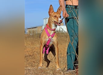 Tilly *** PS in 517xx ***