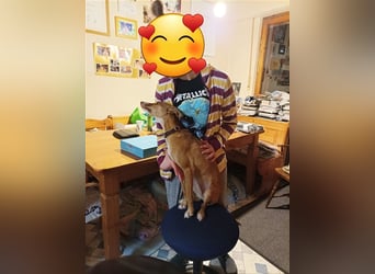 Tilly *** PS in 517xx ***