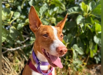 Framzy – muss Liebe lernen