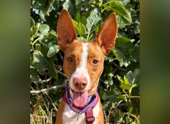 Framzy – muss Liebe lernen