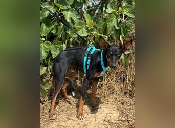 Doby
