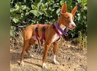 Framzy – muss Liebe lernen