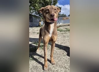 Byron, ein verschmuster sozialer Schatz