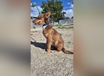 Byron, menschenbezogen und sehr sozial