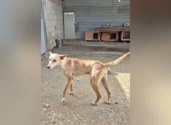 Tina, sie sucht ihre Herzensmenschen