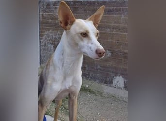 Tina, sie sucht ihre Herzensmenschen