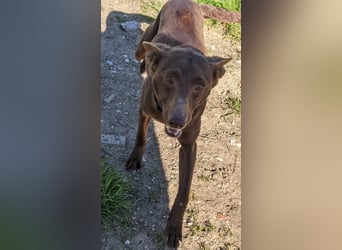 Esperanza, hat so sehr eine Chance verdient