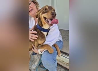 Byron, menschenbezogen und sehr sozial