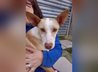 Tina, sie sucht ihre Herzensmenschen