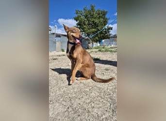 Byron, menschenbezogen und sehr sozial