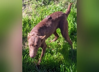 Esperanza, hat so sehr eine Chance verdient