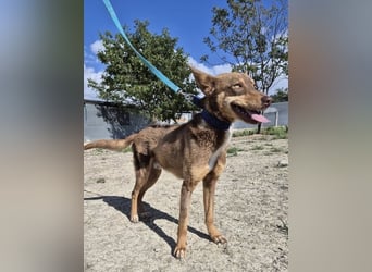 Byron, menschenbezogen und sehr sozial