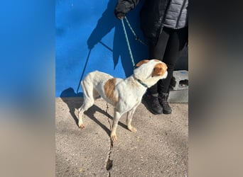 Rayos, hofft auf seine Chance