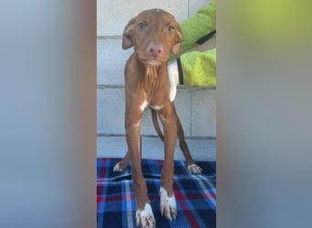 Dolce, bereit die Welt zu entdecken