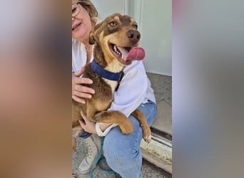 Byron, ein verschmuster sozialer Schatz