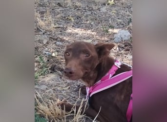 Esperanza, hat so sehr eine Chance verdient